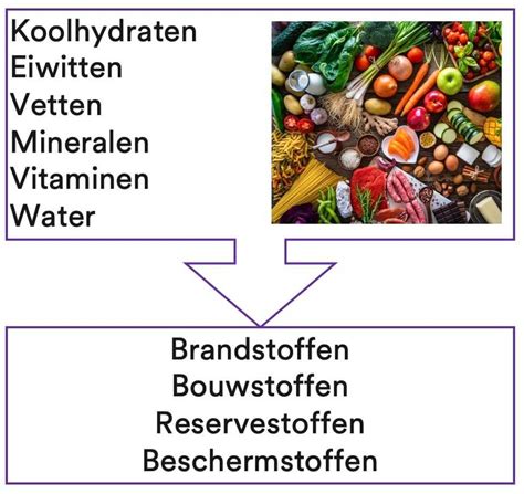 omega 6 voedingsstoffen.